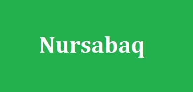 Nursabaq.Kz – сайт с ответами на домашние задания