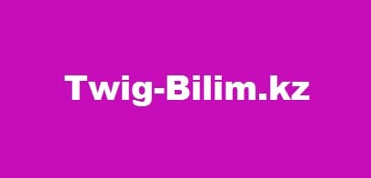 Twig-Bilim.kz – официальный сайт образовательного портала