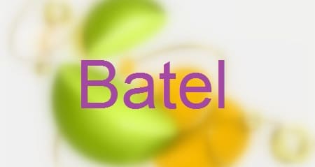 Batel.ru – официальный сайт косметической компании